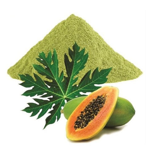 Papaya Leaf Powder 1kg